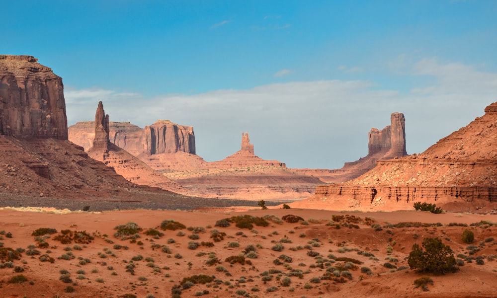 Golden sand dunes stretching across the Sahara