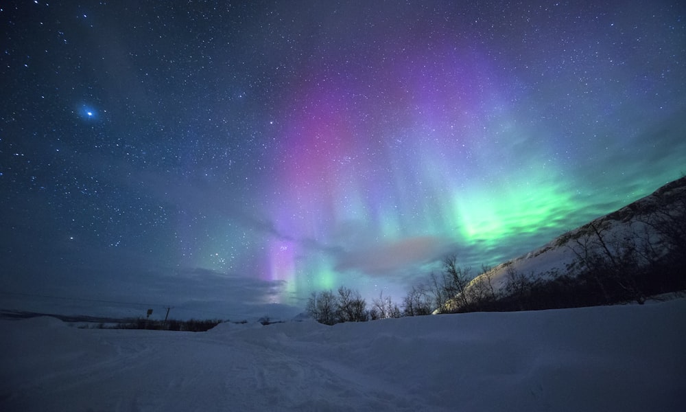 Northern lights glowing over a snowy Icelandic landscape