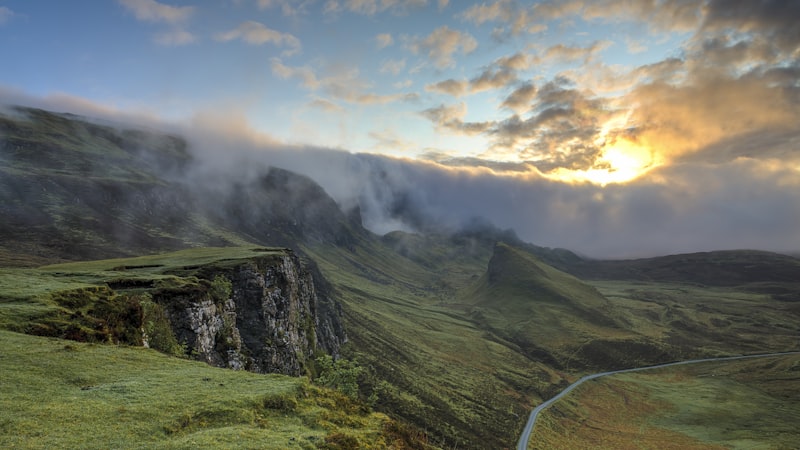 Misty forest landscape in peak travel season